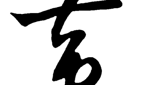 水鱼土茯苓汤的功效-专业广东水鱼煲土茯苓加什么好吃平台-水鱼土茯苓煲汤的做法大全