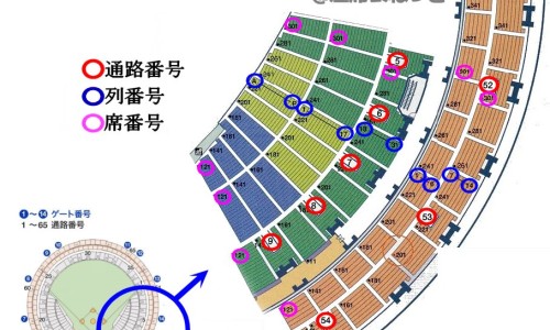 水鱼煲土茯苓要放什么-水鱼土茯苓汤的功效-专业广东水鱼煲土茯苓加什么好吃平台-水鱼土茯苓煲汤的做法大全